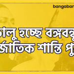 চালু হচ্ছে বঙ্গবন্ধু আন্তর্জাতিক শান্তি পুরস্কার